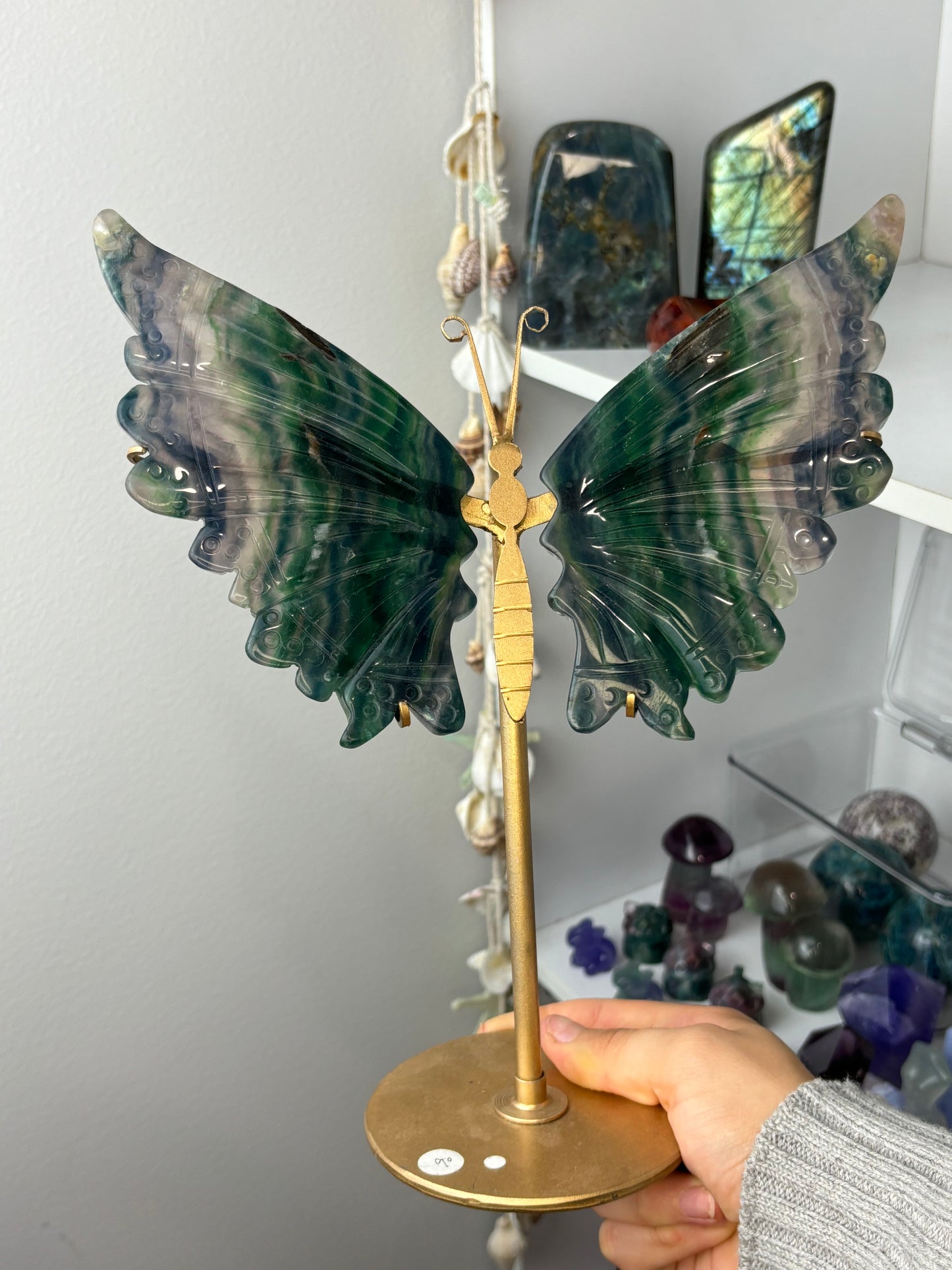 Large Rainbow Fluorite Wings