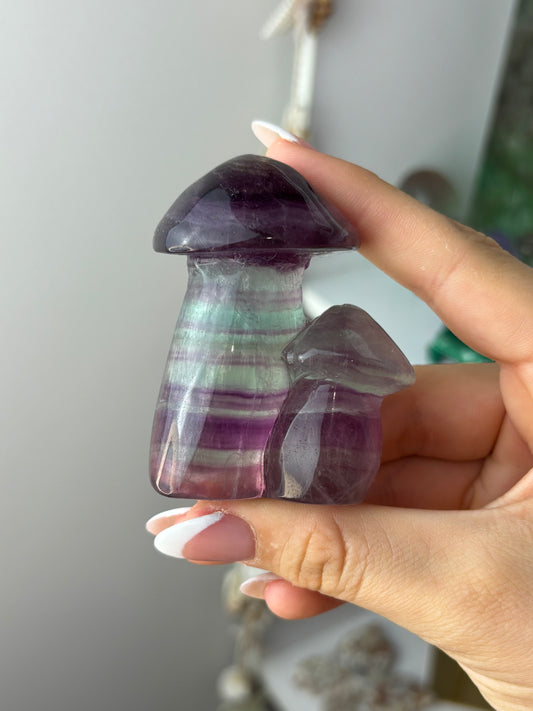 Large Fluorite Mushroom #3