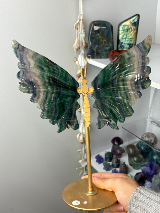 Large Rainbow Fluorite Wings